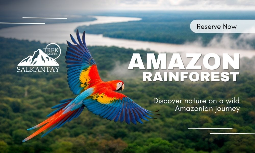 Amazon Rainforest Tour