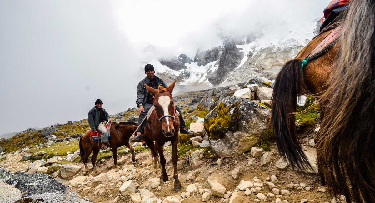 Horses in the Salkantay Trek