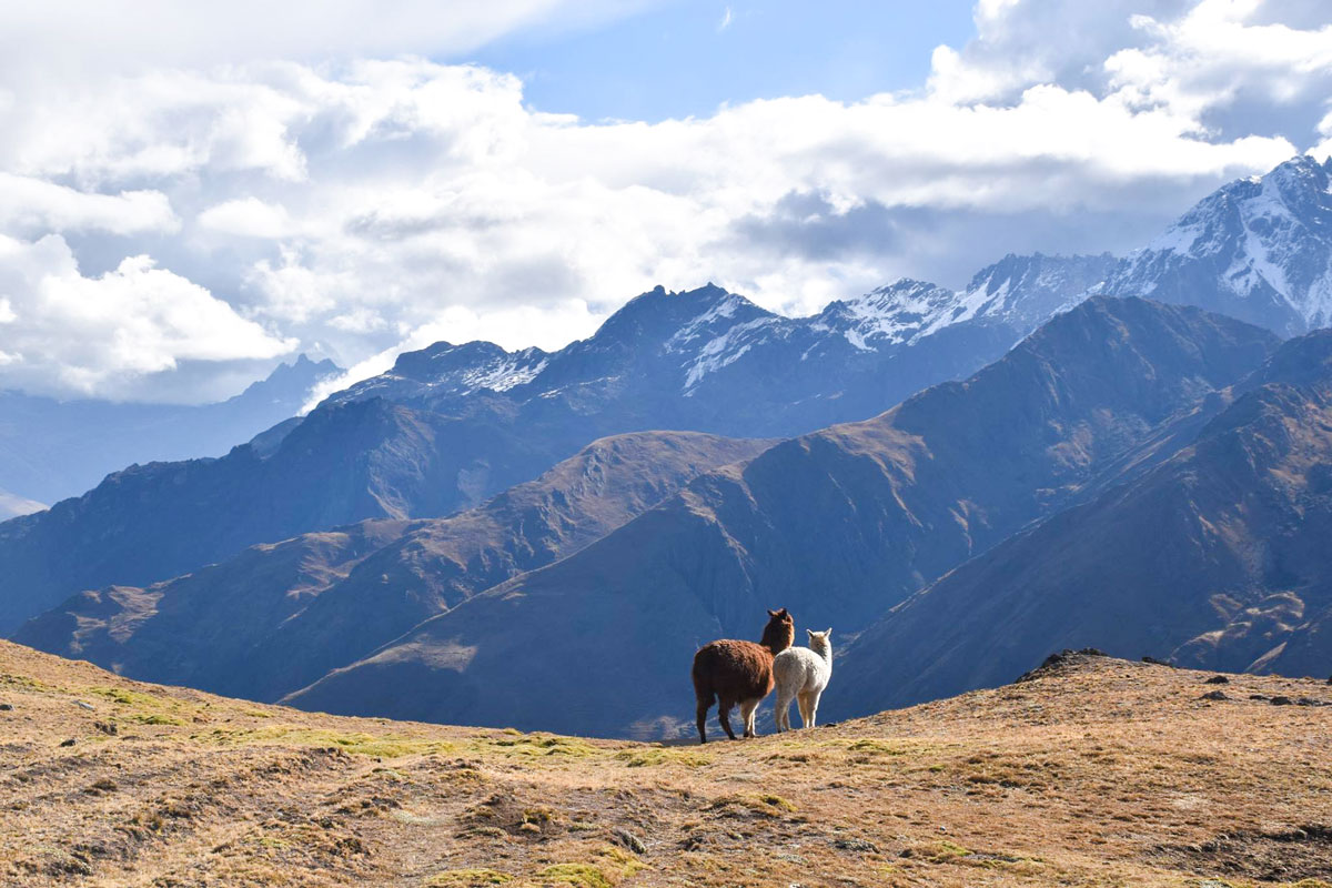 Inca Trail and Lares Trek