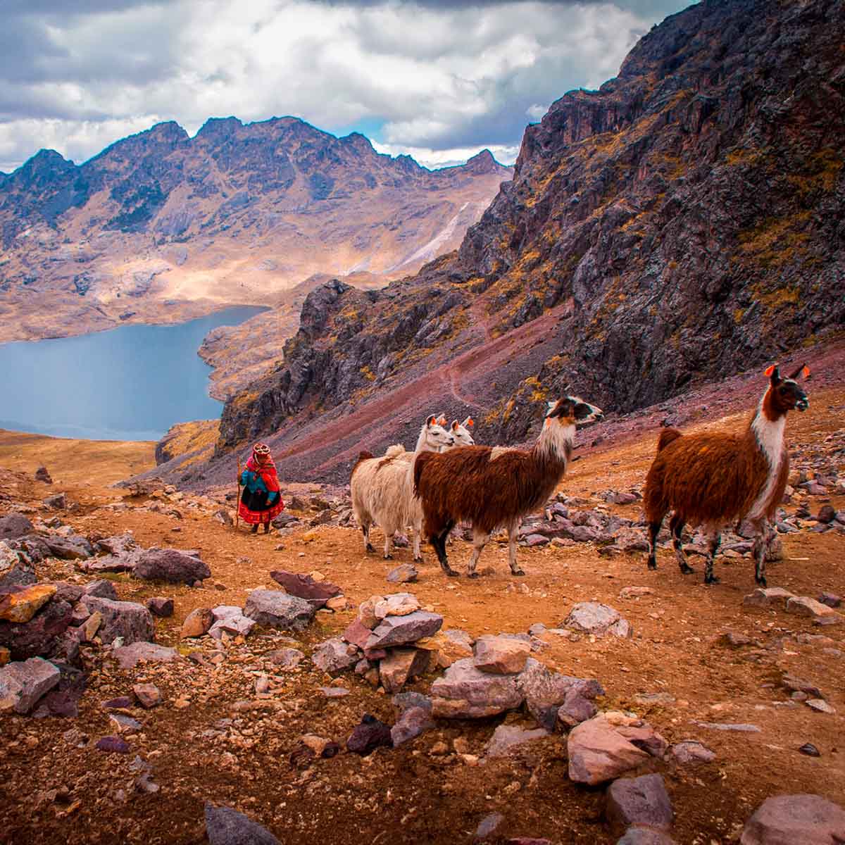 Lares Trek vs Inca Trail