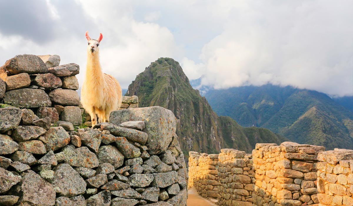 Machu Picchu purpose