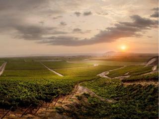 How to experience Peru’s wine regions: Insider Travel Guide