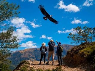 Salkantay & Inca Trail with Condor Sight 7 Days - Book Now!