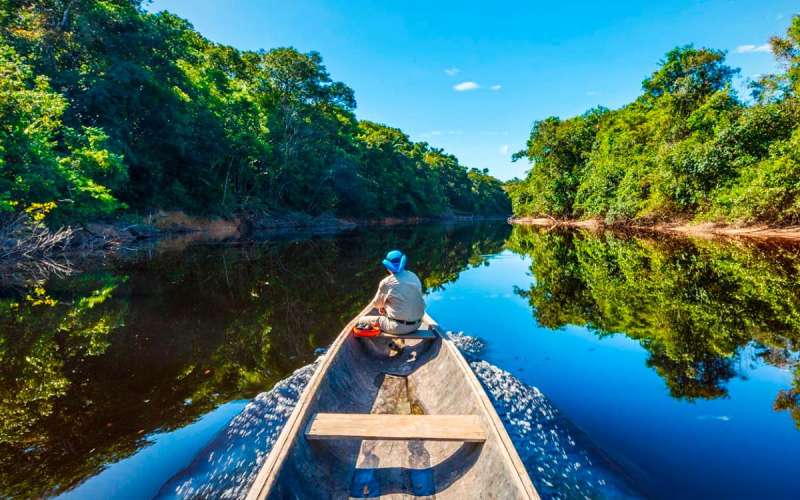 Peru Amazon rainforest