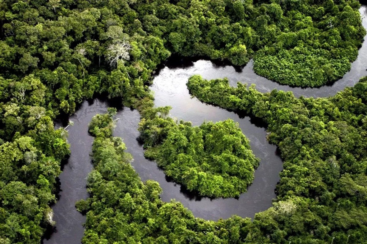 Peruvian amazon forest
