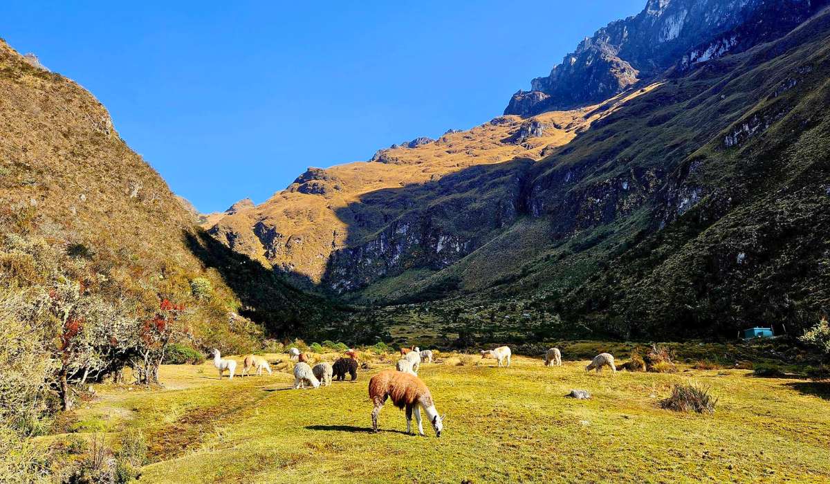 Salkantay Inca Trail