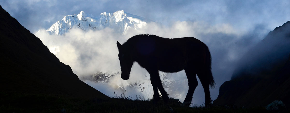 Salkantay trail