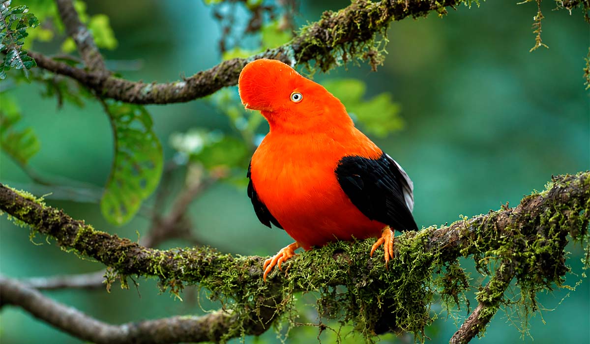 3 day Salkantay trek to Machu Picchu