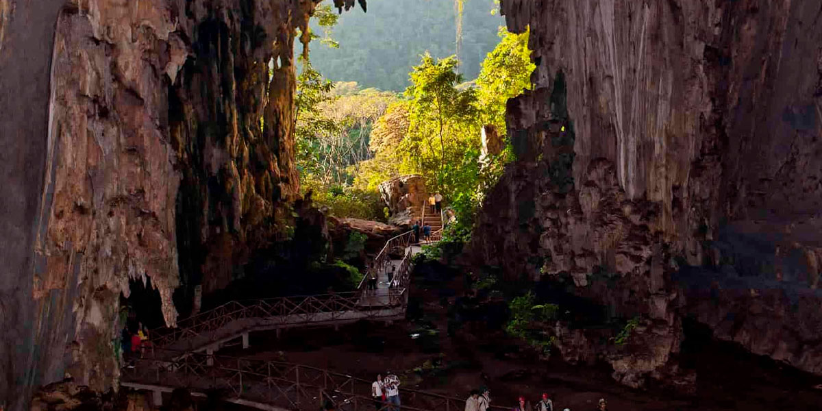 Tingo Maria national park