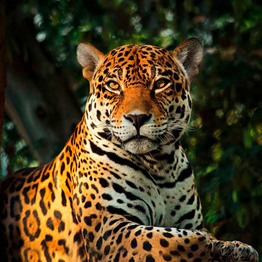 Tingo Maria tourist attractions